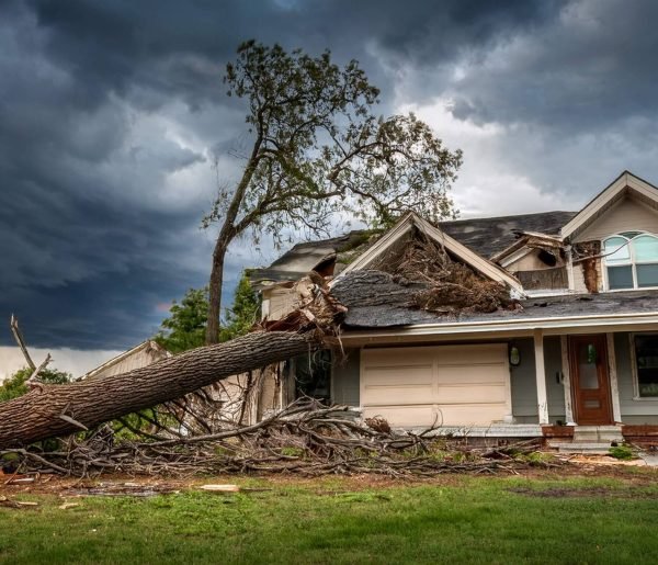 Cover-photo-3-scaled